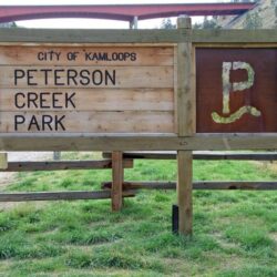 Peterson Creek Park 31