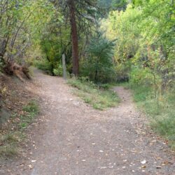 Peterson Creek Park 2