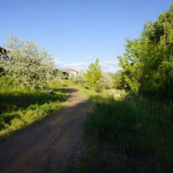 Pineview Valley Park 11