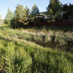Pineview Valley Park 13