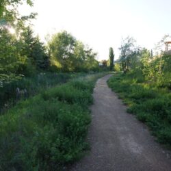 Pineview Valley Park 14