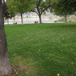Pioneer Park 4