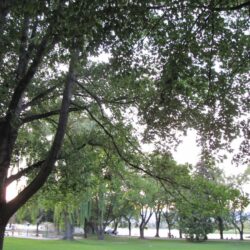 Riverside Park 29