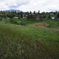 Todd Hill Park 8