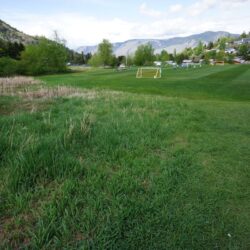 Todd Hill Park 11