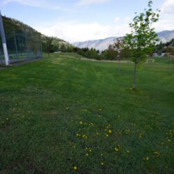Todd Hill Park