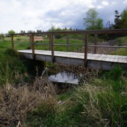 Todd Hill Park 21