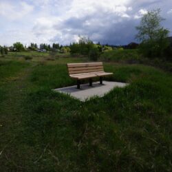 Todd Hill Park 22