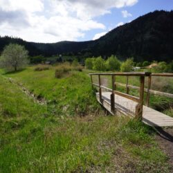 Todd Hill Park 23