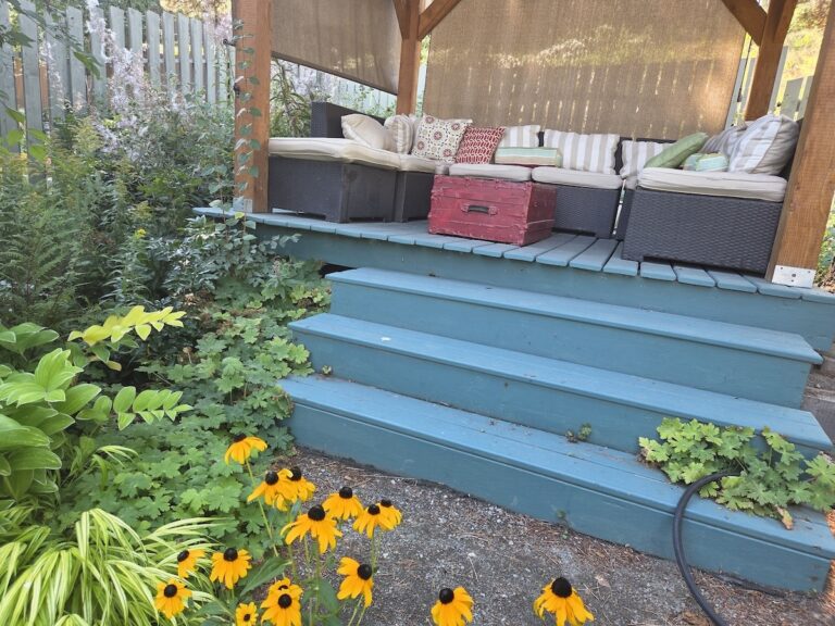 Nature-Friendly Yards: A Summer Recap and a New Season