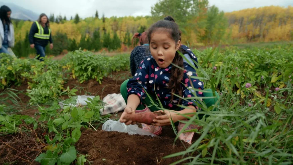 5th Annual Stseptékwles re Sk’elép (Coyote Stories) Indigenous Film Festival opens with food sovereignty doc ‘Tea Creek’ 