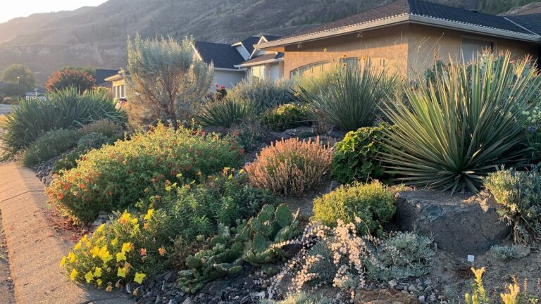 Gardening with Place: Creating a Nature-Friendly Garden in Kamloops