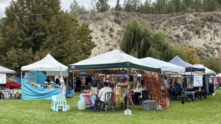 Painted Turtle Artisan Market at the BC Wildlife Park